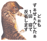 879728900
