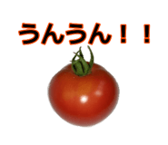 879733067