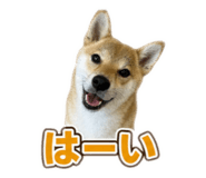 879734109