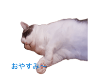 879734802