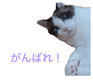 879734805