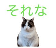 879734808