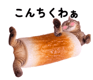 879743755