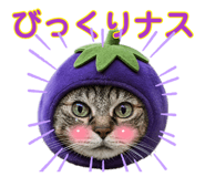 879743769