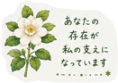 879750244