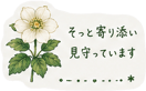 879750261