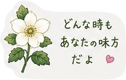 879750262
