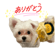 879752179