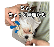 879752198
