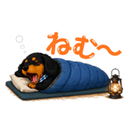 879755366