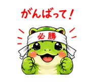 879755567