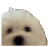 879756147
