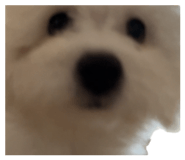 879756148