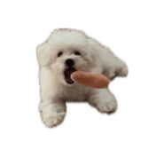 879756155