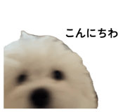 879756156