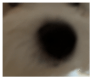879756159