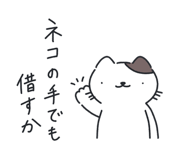 879764081