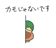 879764092