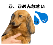 879772670