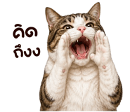 879774215