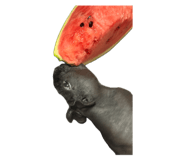 879816948