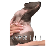 879816949
