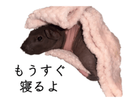 879816951