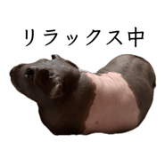 879816955