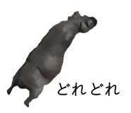 879816956