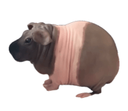 879816957