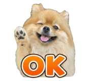 879825233