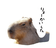 879828826