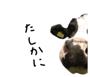 879828833