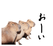 879828835