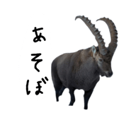 879828837