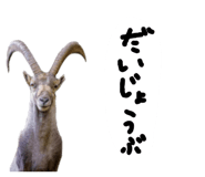 879828839