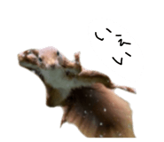 879828843