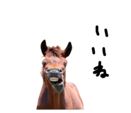 879828847