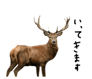 879828850