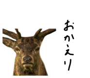 879828851