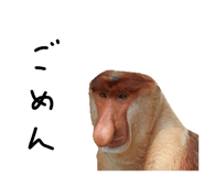 879828855