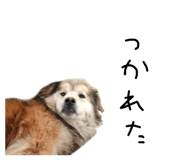 879828856