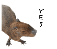 879828858
