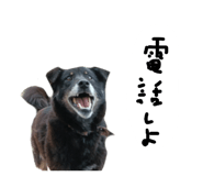 879828859