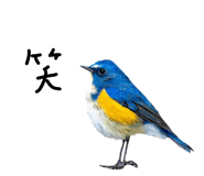 879828861