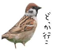 879828862