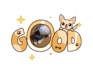 879830256