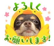 879830321