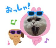 879837290