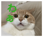 879856898